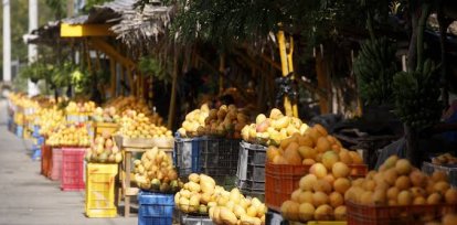Mango