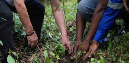 The day included the planting of native species and bamboo, as well as the cleaning of tributaries, as part of the environmental conservation actions promoted by the Ministry of Energy and Mines.