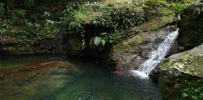 Ministry of Energy and Mines carries out reforestation and cleaning day in river basins of Cotuí