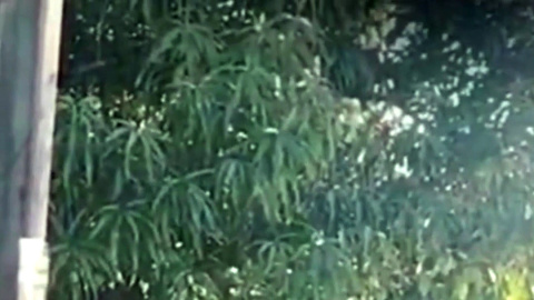 Declaraciones de José Eduardo Verástegui