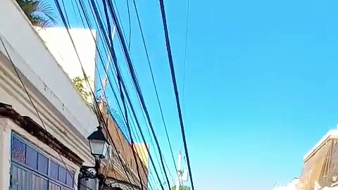 Árbol cae por las lluvias en la Ciudad Colonial y bloquea el tránsito