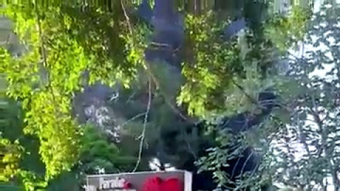Autobús de Caribe Tours se incendia en la carretera Jarabacoa-La Vega