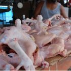 “Incremento del consumo de ave durante este mes era previsible”, dijo Sánchez Roa.