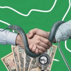 Imagen de portada del informe de Participación Ciudadana sobre el caso Senasa.