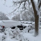 Circulación de vehículos