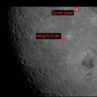 Integrity y Carroll.