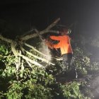 Daños por lluvias y ventarrón