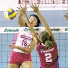 Club Cachorros triunfa; quita invicto a Mirador en voleibol DN