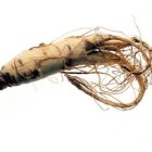 El ginseng disminuye la glucosa de la sangre
