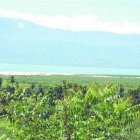 Bahoruco, la tierra de las uvas