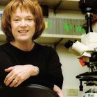 Investigadores del olfato ganan <BR>Nobel Medicina
