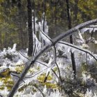 Escarcha en Valle Nuevo