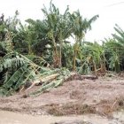 Daños a carreteras afectan productores