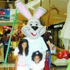 Tardes infantiles y creativas