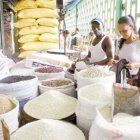 <P>Lluvias y alza combustibles hacen subir $100 saco arroz</P>