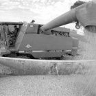 <p>Panorama mundial</p>