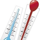 <p>Estrella dice recortes presupuesto viola ley</p>