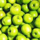 Un posible remedio para la diarrea