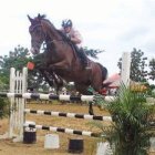 Pellerano y Bisonó ganan justa Ecuestre