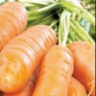 ¿Por qué  consumir zanahorias?