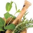 Condimentando con hierbas