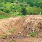 <STRONG>Tierramérica<BR></STRONG>Garopaba hace historia ambiental