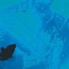 Investigación sobre galeón podría reanudarse  enero