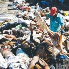 <P>Hay 50 mil muertos y 250, 000 heridos</P>