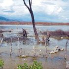 Geólogo pide analizar registros sísmicos    Falla de los Muertos