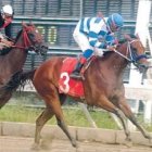 Gómez gana dos carreras ayer en el cartel hípico