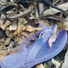 Mueren 15 personas en México