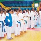 La Vega campeón  en karate