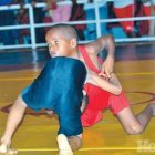 Azua campeón en  torneo de lucha