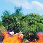 Suspenden encargado DNCD en Aeropuerto Las Américas