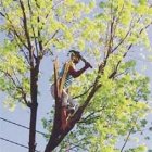 Soeci se queja uso árboles en campaña electoral