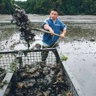 Científicos aseguran que repunta la emisión global de dióxido de carbono
