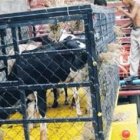 Familiares del homicida del fiscal  lo defienden