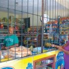 Asaltantes  azotan en  residenciales de  SDE