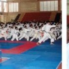 Cientos de  niños y jóvenes participan en seminario capacitación de karate