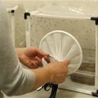 Mal olor de pies podría combatir mosquito transmite la malaria