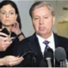 Senadores EU evalúan casos refugiados reforma migratoria