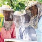 Realizan actividades educativas en el  Botánico Nacional