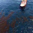 derrame-petroleo-golfo-mexico-1