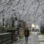 Nueva York helada (AP FOTO/Mike Groll)