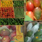 agrpecuario