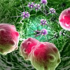 Enterovirus – Houston TX (713) 660-0001