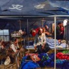 Imágenes del sismo, fuente externa.