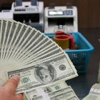 DOLARES