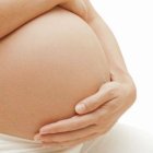 Mujer embarazada. Archivo. 