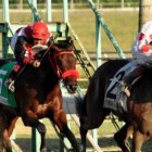 Clásico Hípico Criadores